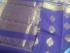 POWERLOOM BIG BUTTA SAREE